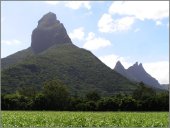 V rovině cukrová třtina a jinak brutální vrcholy sopečného původu - to je Mauritius.